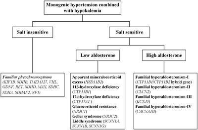 Overview of Monogenic Forms of Hypertension Combined With Hypokalemia